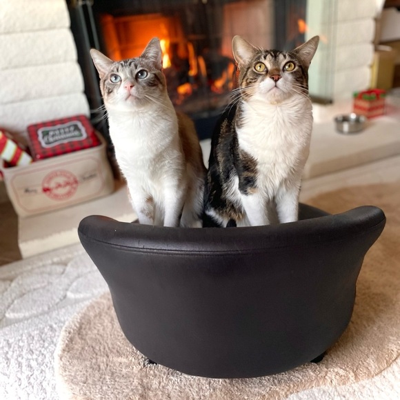 🤗 - Picture 7 of 17